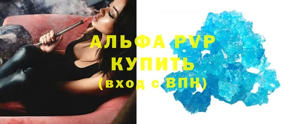 индика Карпинск