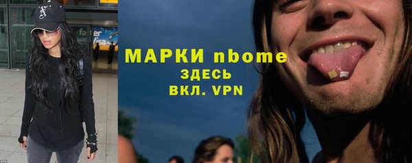 индика Карпинск
