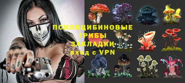 spice Каменка