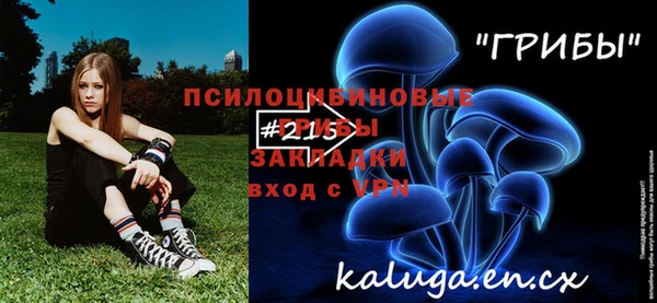индика Карпинск