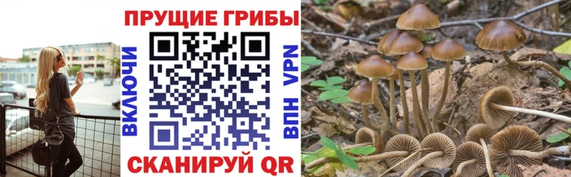 Псилоцибиновые грибы Magic Shrooms  Купить где  Джанкой 